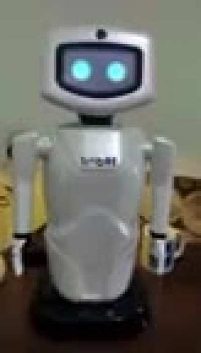Timbot é brabo