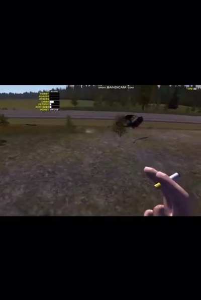 Most sane analbanian driver