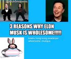 Elon Musk is so wholesome I want him to marry my wife