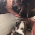 Kissy potatoes
