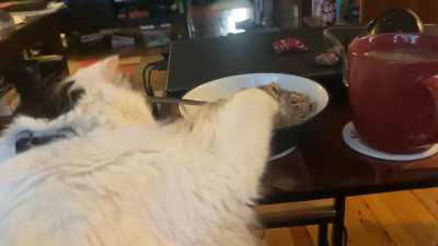 Touchy cereal!