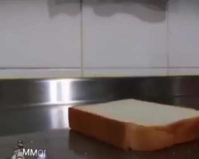 Pão