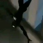 nigga