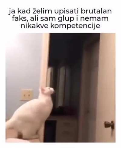 Faxx
