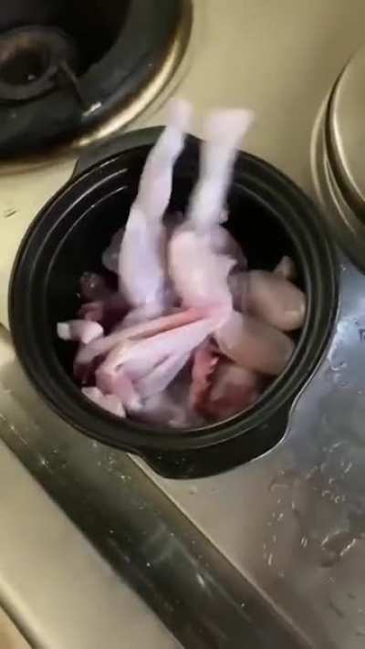 Dinner is served