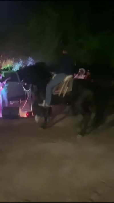Dancing horse doesn’t like the music