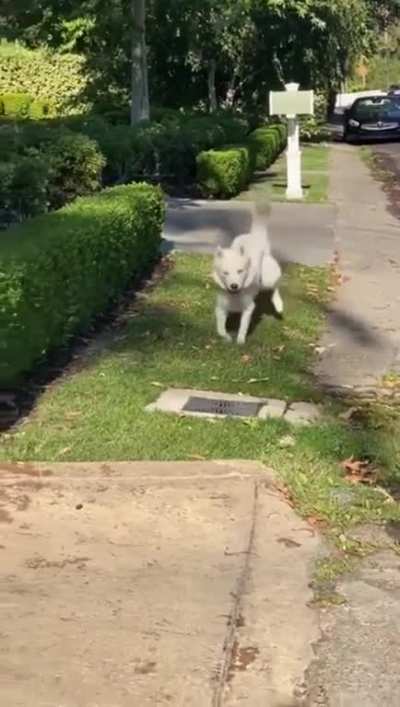 Neighborhood watch