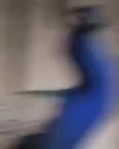 Yeehaw