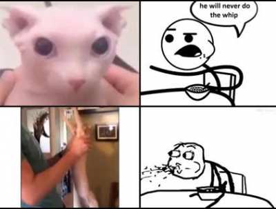 no fucking way