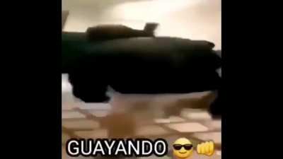 shitposting - Video #0539