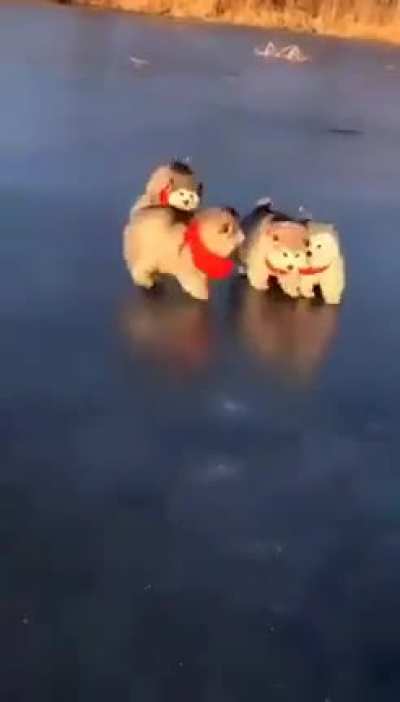 very sweet...