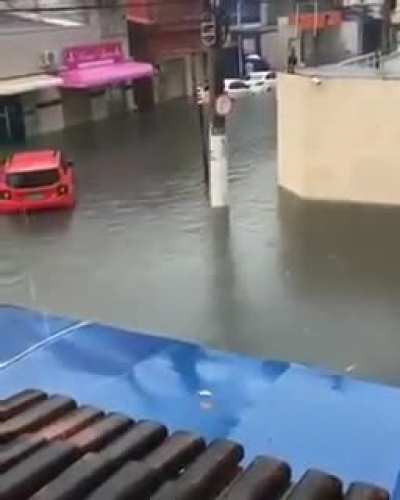 doença de rato