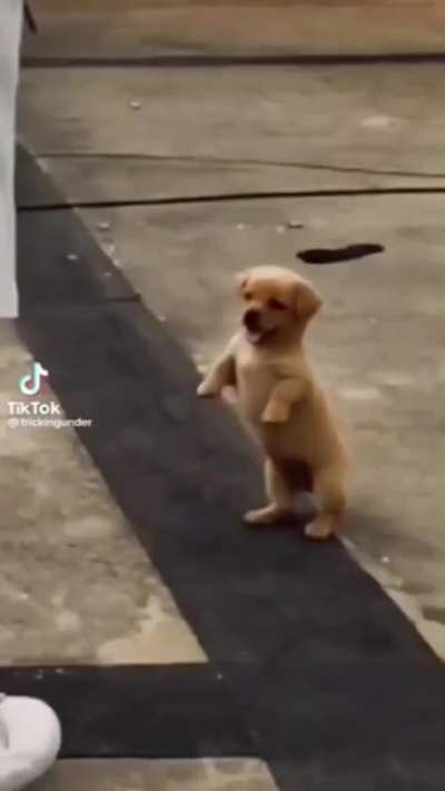 ð¯