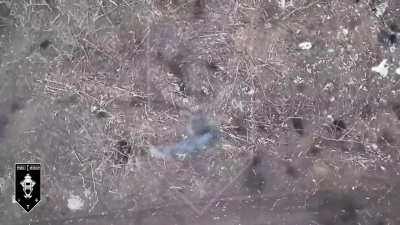 Russian Soldiers hit by Ukrainian Drone dropped Grenades. By 1st Assault Battalion, 92nd Brigade. Ukraine, Bakhmut Direction, 2024.