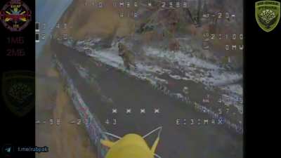 Compilation of Ukrainian strikes on Russian troops