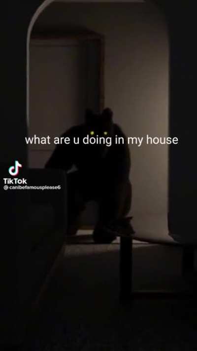 🫣🔫