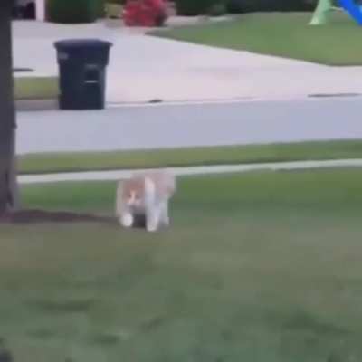 OH LORD COMIN