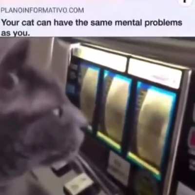 Let’s go gambling