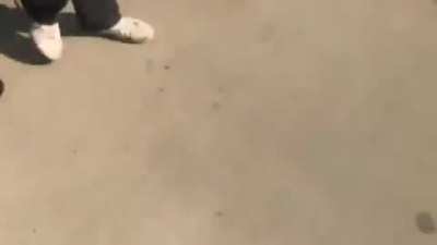 My roommate filming the protest in Jacksonville Florida. He literally did nothing wrong and got arrested. 1000 dollars later he’s home now...