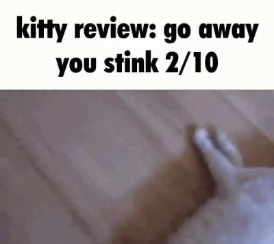 rule