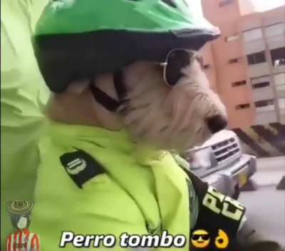 👌