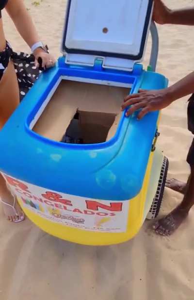 Brazilian flashing the vendor