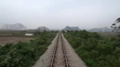 Train hits a pack of buffaloes (sfw)
