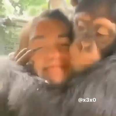 Acorda Macaco