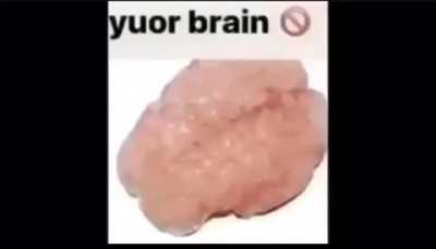 smooth brain gang