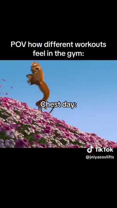 chest=🌸