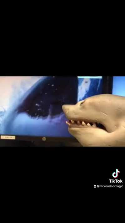 Finally got me a shark puppet.