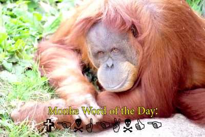 Read up on your monke vocab