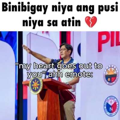 nasa pusi
