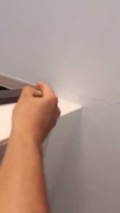 Fucking wasp