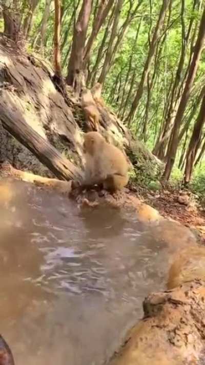 Some kids just hate taking a bath.