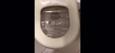HMBC while I throw my phone in the toilet
