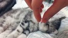Don’t do that hooman