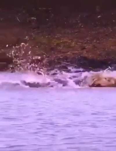 just going for a drink