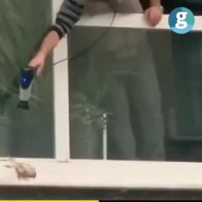 nothing special. just trying to dry a bird...