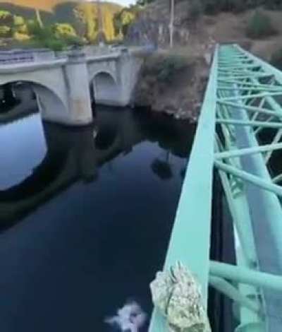 Прыыы<wbr>жок