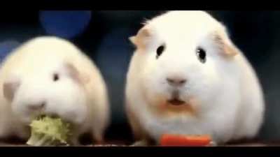 When you wanted Broccoli but get a Carrot instead