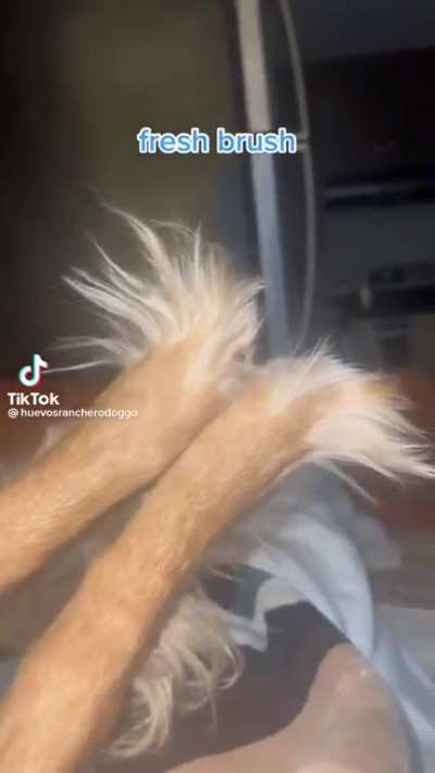 Grinch toes
