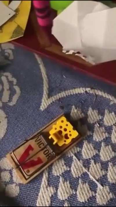 Wow that crayon got destroyed!
