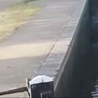 Nutshot