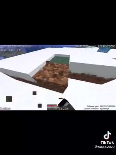 Ranboo necromancy (credit @tubbo.2020 on TikTok)