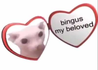 bingis <3 ❤️