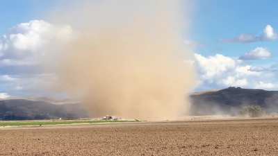 Wedge Dust Devil