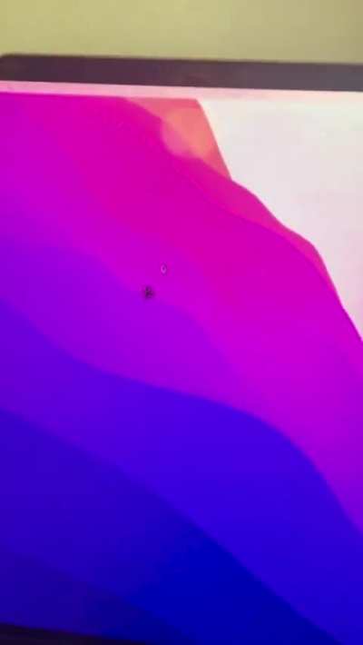 My productivity took a nose dive today thanks to this little bro…
