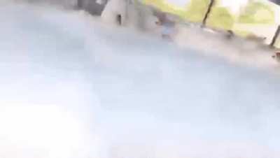 Man gets hit by calf as the man hit the calf's mother