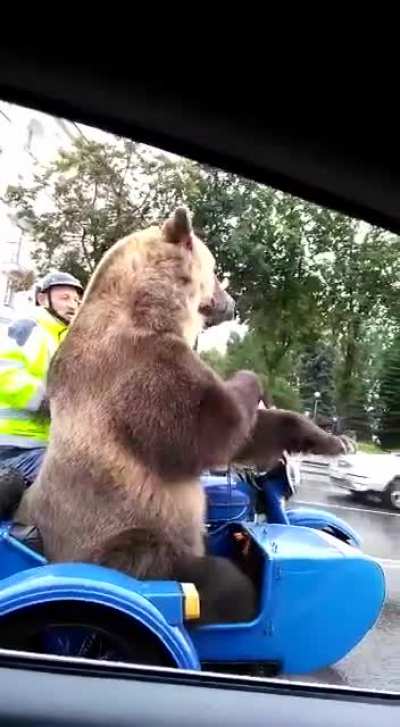 Crazy Russian Life